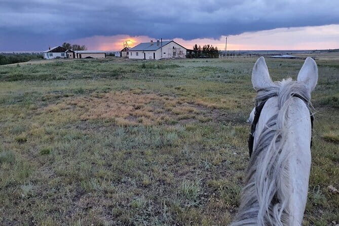 Astana Unbridled: Seven Days of Culture and Adventure - What We Like About This Tour