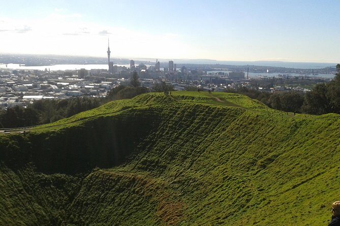Auckland Airport and City Transfers (To or from) - Thorough Breakdown of the Itinerary