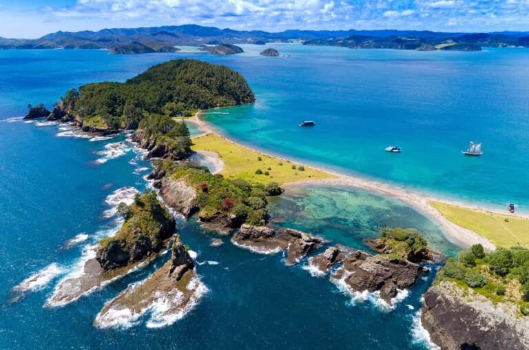 Auckland: Bay of Islands Day Tour with Dolphin Cruise - What’s Included and What to Bring