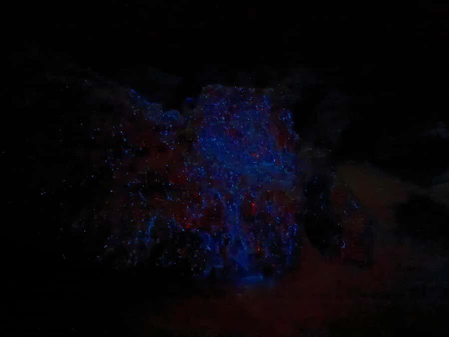 Auckland: Bioluminescence Kayak Tour with Guide - The Journey: From Meeting Point to the Water