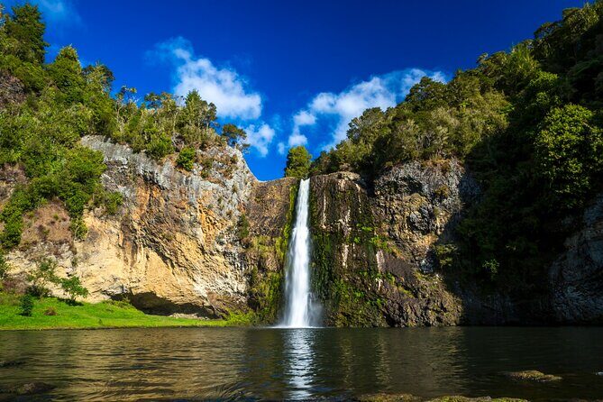 Auckland Birdwatching and Hiking Private Tour - The Value of a Private Guided Tour