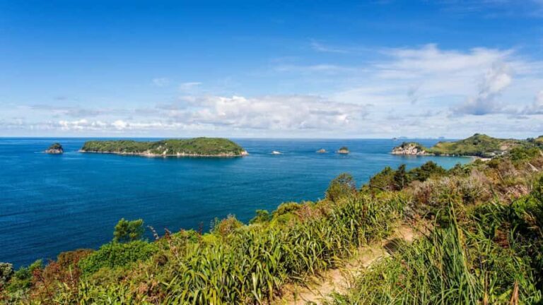 Auckland: Cathedral Cove and Hot Water Beach Day Trip - An Honest Look at the Day Trip Experience