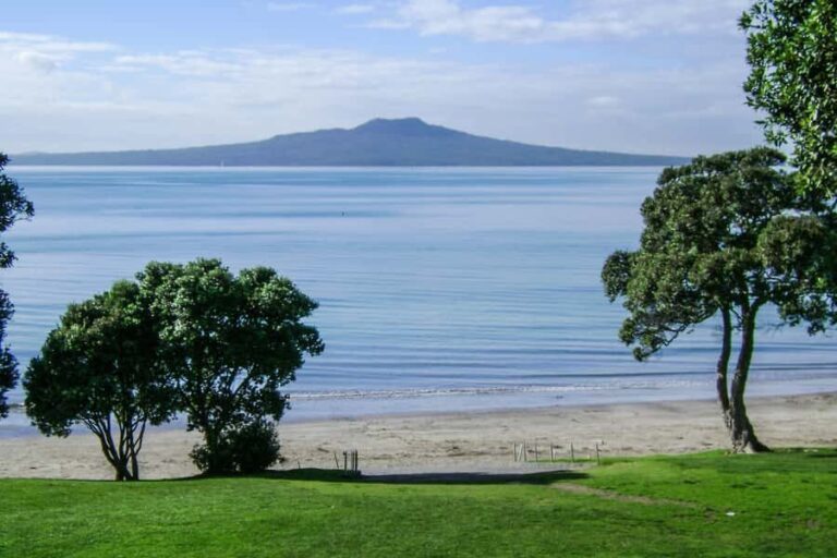Auckland City, Beaches & Rainforest Premium Small Group Tour - Exploring Auckland’s Urban Heart
