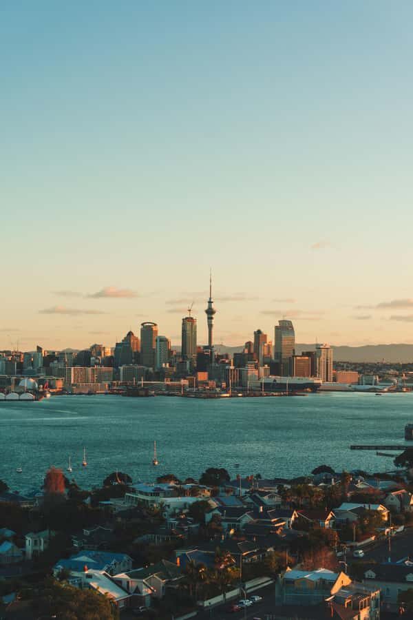 Auckland City Full Tour -PRIVATE TOUR - Detailed Breakdown of the Itinerary and Experience