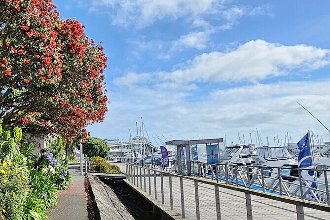 Auckland City Halfday Guide Tour - Who Is This Tour Best For?