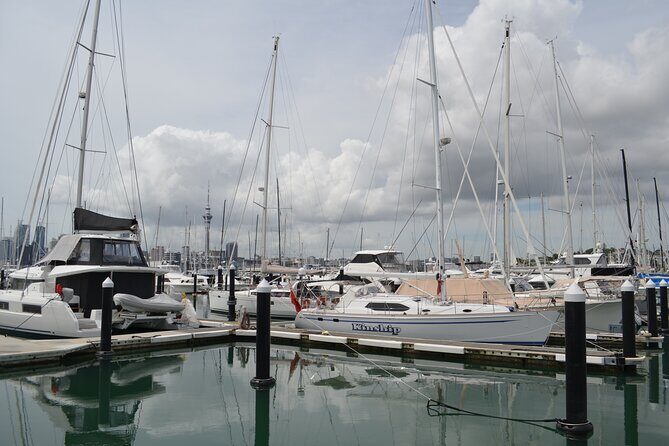 Auckland City Halfday Main Tour - Making the Most of Your Tour