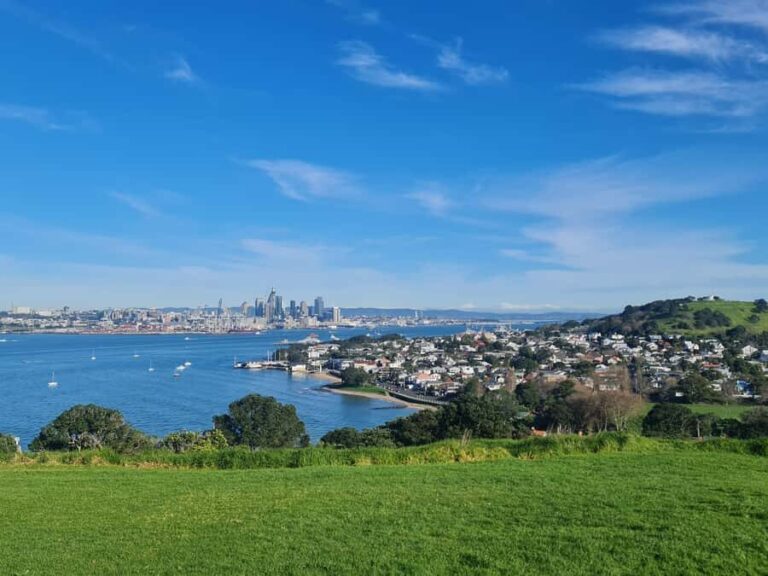 Auckland City Highlights Half Day Tour - Detailed Analysis: What This Tour Means for Your Trip