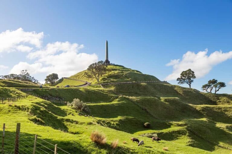 Auckland: City Highlights Private Tour - Practical Details & Value