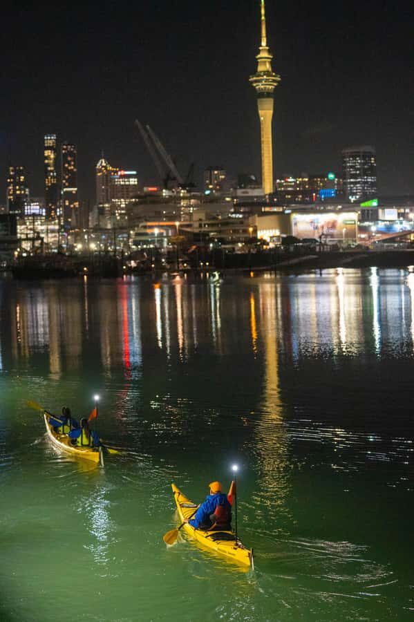 Auckland: City Lights Night Kayak Tour - Paddling Along the Harbour Bridge