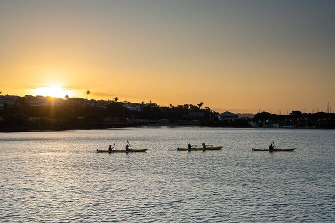 Auckland City Lights Night Kayaking Tour - Value and Practical Considerations