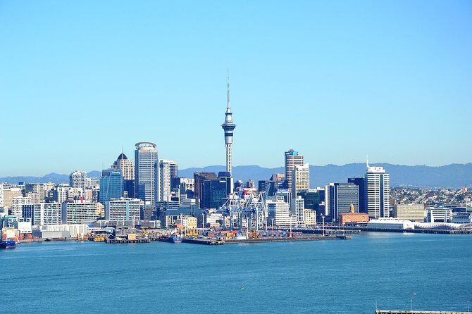 Auckland City & Native Forest Experience - Fully Guided Day Tour - Potential Drawbacks and Considerations
