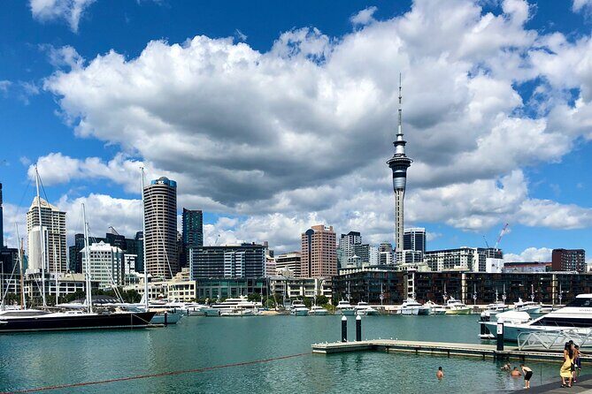 Auckland City Top Sights Half Day Tour - Small Group - The Sum Up: Is This Tour for You?