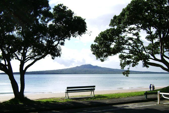 Auckland City Tour & Kumeu Wine Country Includes Wine Tastings & Lunch - The Sum Up