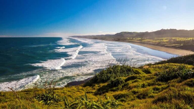 Auckland: Coast to Coast Private Eco Tour - Cultural and Scenic Highlights