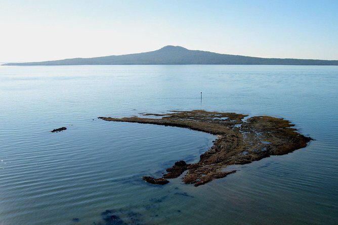 Auckland Coastal Experience - Small Group City & Beach Tour Incl. Wine Tasting - How the Experience Balances Cost and Value