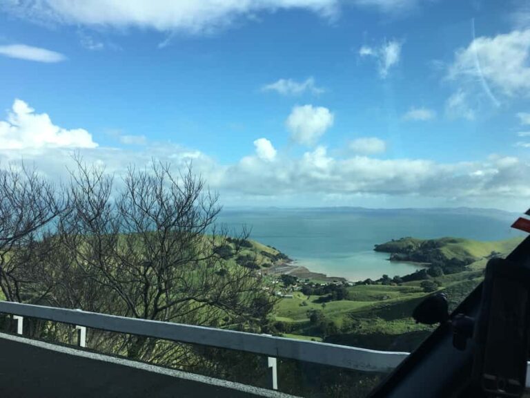 Auckland: Coromandel Beach, Caves & Forest Private Tour - Practical Details and What It Means for You
