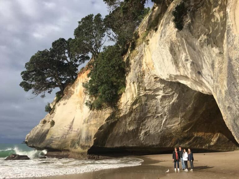 Auckland: Coromandel Day Tour including Hot Water Beach - Transportation and Group Size