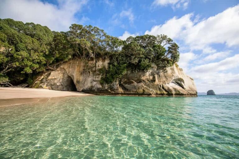 Auckland: Coromandel Driving Creek & Cathedral Cove Day Tour - The Benefits of This Tour