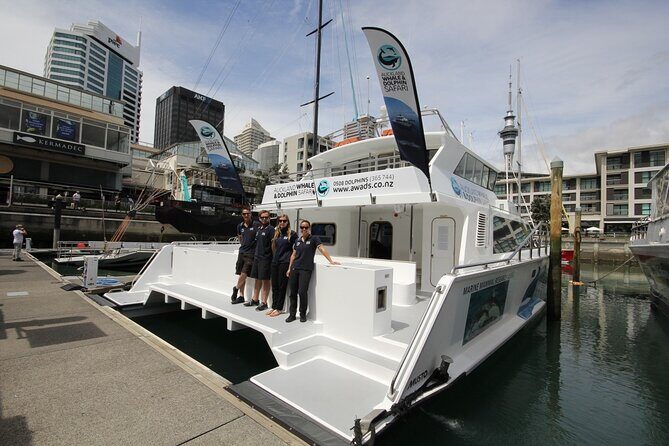 Auckland Dolphin and Whale Watching Eco-Safari Cruise - The Value of the Experience