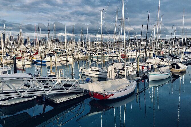 Auckland Half Day City Tour - Heart of Auckland - Authentic Experiences from Travelers