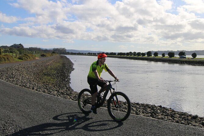 Auckland Half Day E-Bike Excursion - A Detailed Look at the Auckland E-Bike Tour