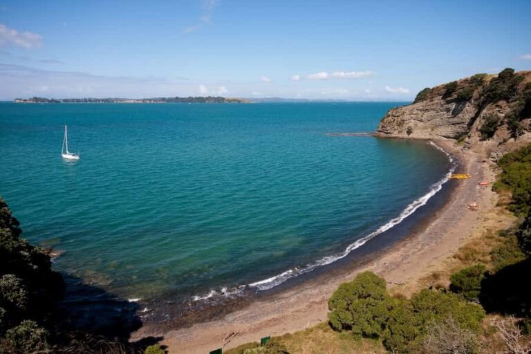 Auckland: Half-Day Sea Kayak Tour to Motukorea Island - The Guides and the Experience