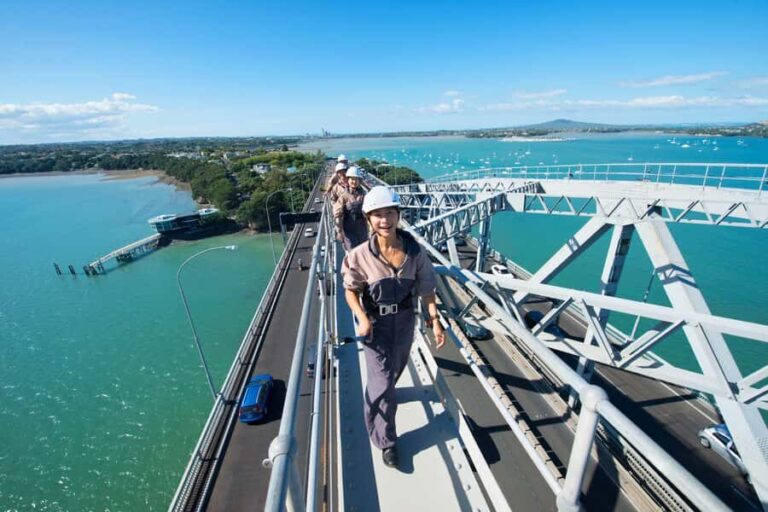 Auckland Harbor Bridge: Bridge Climb - The Viewpoint: Why It Matters