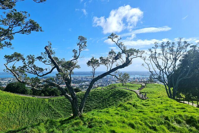 Auckland Hidden Gem Half Day Tour - Who Would Love This Tour?