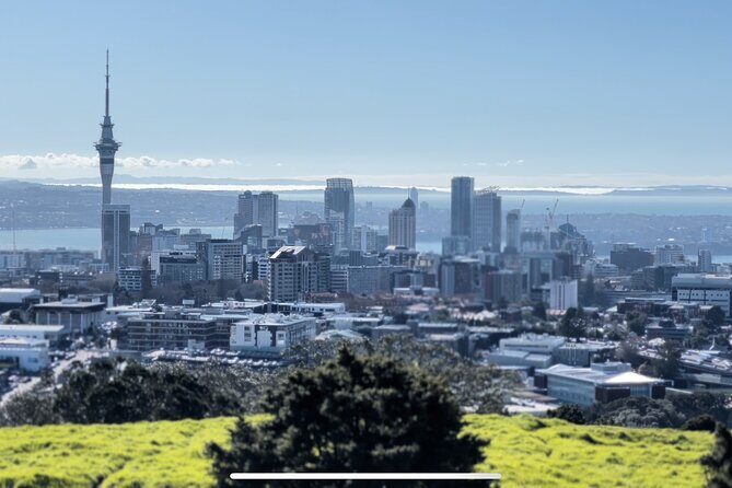 Auckland Highlight Fullday City Tour - Authentic Perspectives from Travelers