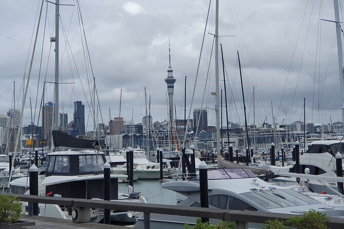 Auckland Highlights Full Day Guided Tour - The Guide and Experience