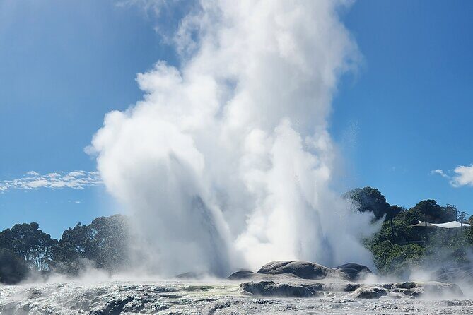 Auckland : Hobbiton & Te puia & red wood forest Private Tour - Practical Aspects and Transportation