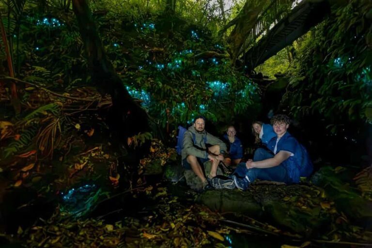 Auckland: Inner-City Glowworm Experience in Ancient Volcano - Who Will Love This Tour?