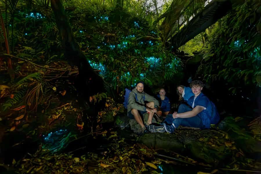 Auckland: Inner-City Glowworm Experience in Ancient Volcano - Who Will Love This Tour?