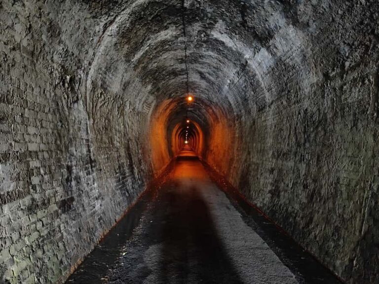 Auckland: Karangahake Gorge & Waihi Gold Explorer Tour - Exploring Karangahake Gorge: A Natural and Historic Marvel