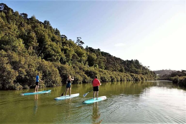 Auckland: Lucas Creek Waterfall SuP Tour - What Are the Key Highlights?