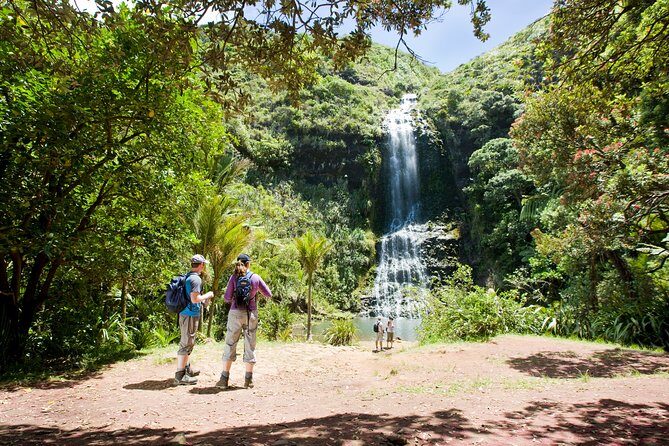 Auckland Maori Tour - Who Should Consider This Tour?