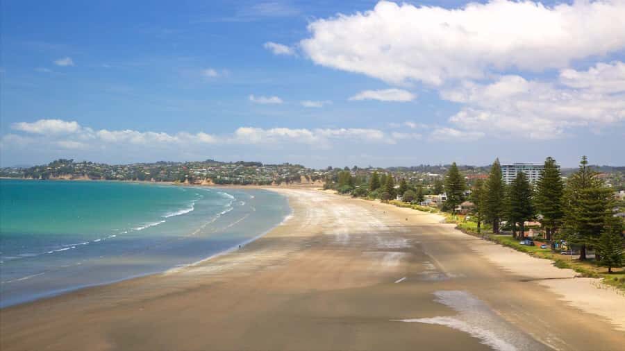 Auckland: Milkyway Glowworm Cave & Coastal Day Trip - Practical Details and What to Expect