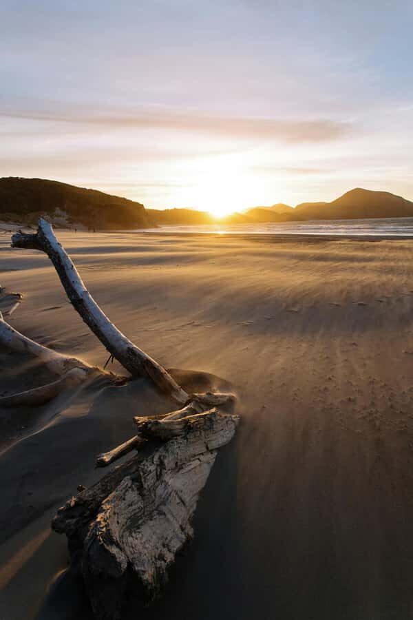 Auckland: Mt. Eden, Piha Beach & Karekare Private Tour - Real Traveler Experiences and Insights