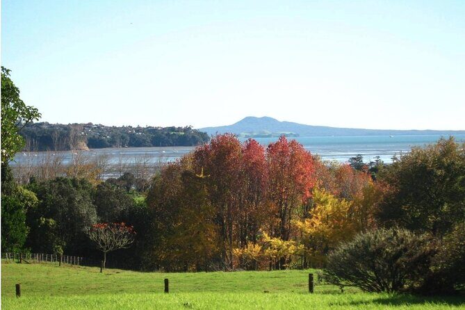 Auckland Nature Tour - What to Expect from the Tour