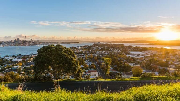 Auckland: Private City Tour with Mount Victoria and Mt. Eden - Real Traveler Insights and Practical Tips