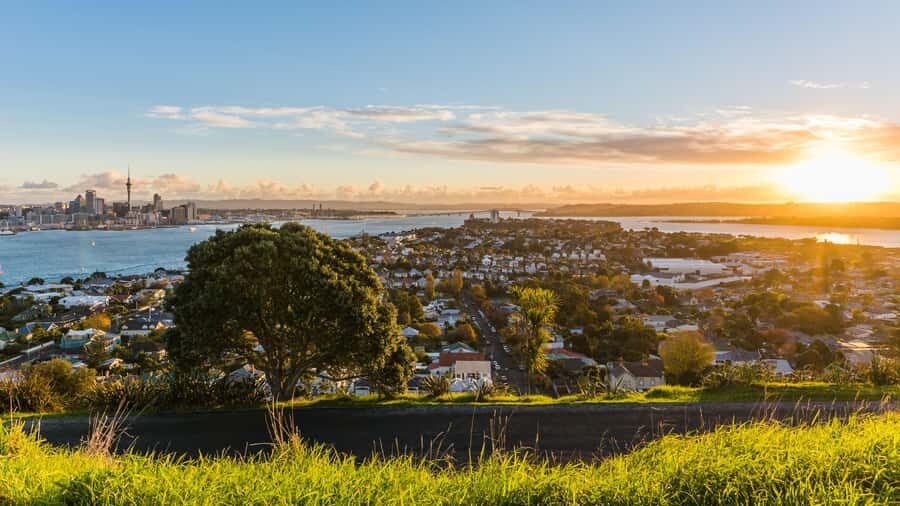 Auckland: Private City Tour with Mount Victoria and Mt. Eden - Real Traveler Insights and Practical Tips