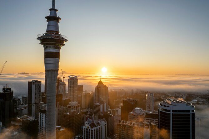 Auckland Private Full Day Attractions Tour & Museums - The Practical Side: Transportation, Timing, and Value