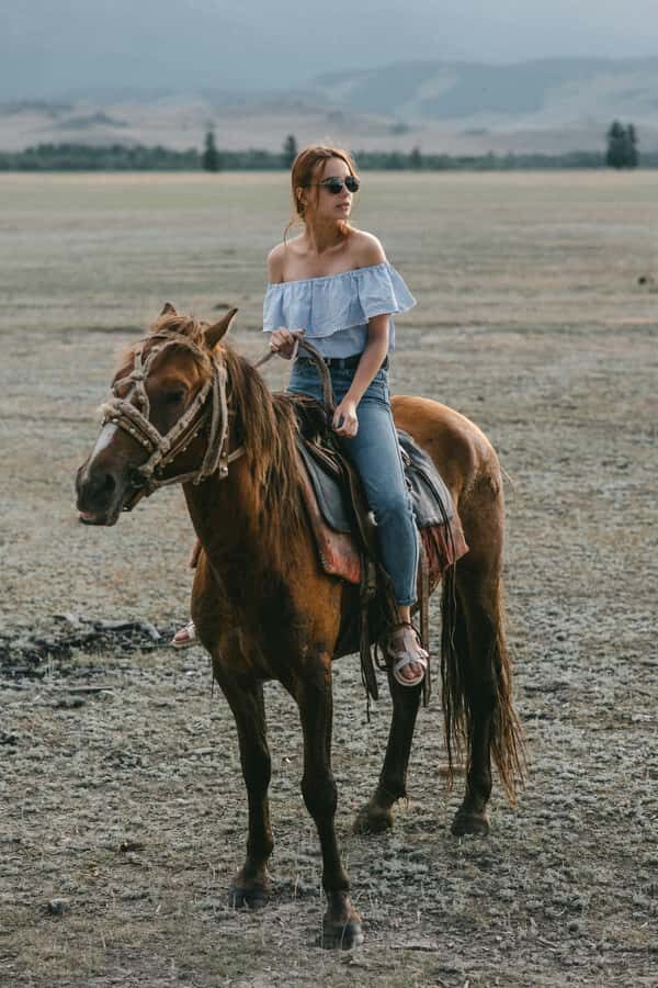 Auckland: Private Horseback Ride + Lunch + Wine + Pick up - Is it Worth the Cost?