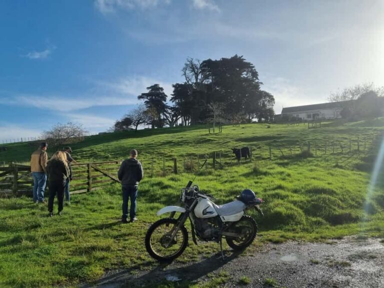 Auckland: Private Sheep & Beef Working Farm Tour - The Itinerary in Detail