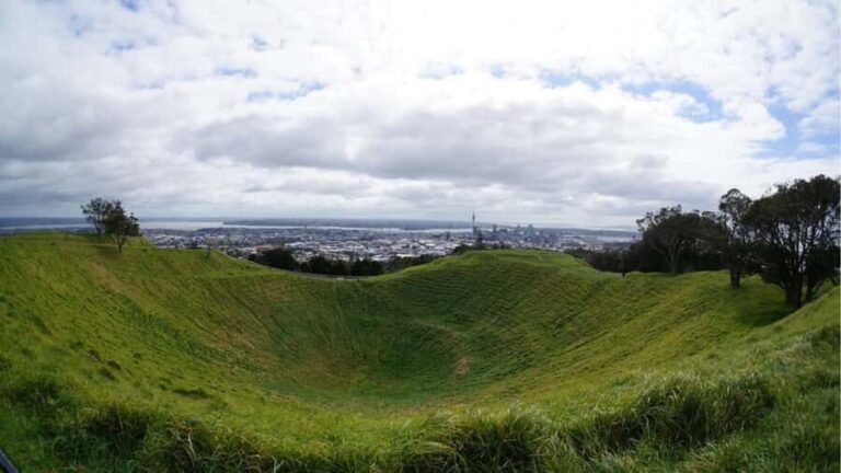 Auckland: Private Sightseeing Full or Half Day Guided Tour - Additional Highlights & Optional Stops