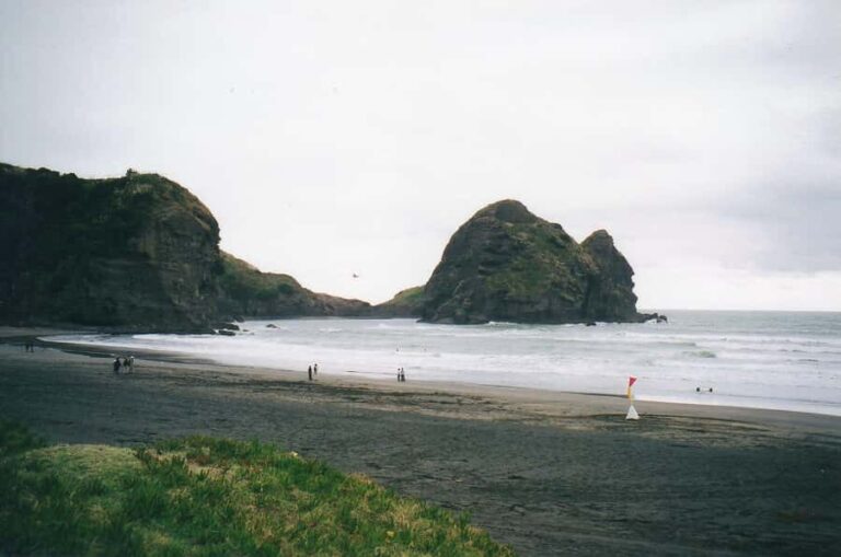 Auckland Private Tour: West Coast Wilderness & Piha Beach - The Itinerary Breakdown: What You Can Expect