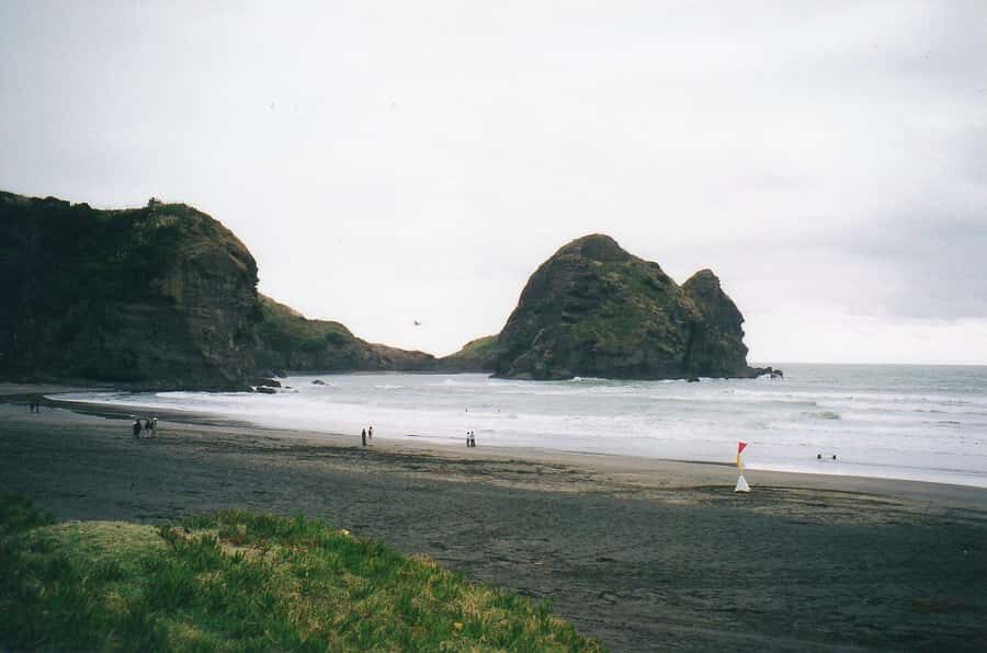Auckland Private Tour: West Coast Wilderness & Piha Beach - The Itinerary Breakdown: What You Can Expect