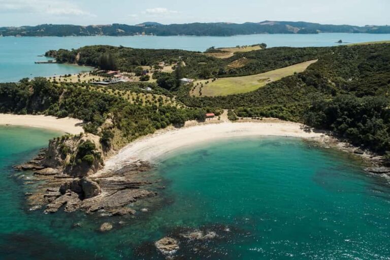 Auckland: Rotoroa Island and Man O'War Vineyard Combo Tour - The Experience in Detail: What to Expect at Each Stop