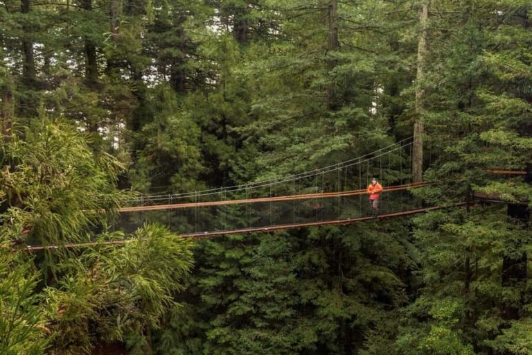 Auckland: Rotorua Highlights w Redwoods Treewalk & Hot Tubs - The Value and Practicalities