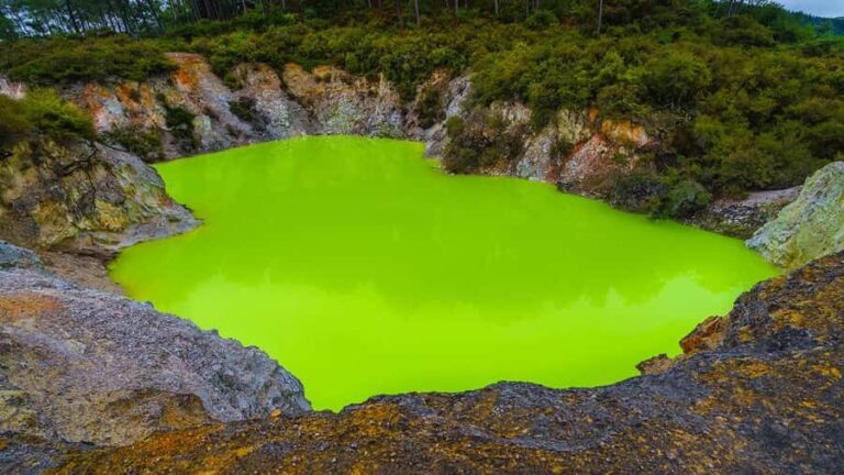 Auckland: Rotorua Highlights w WaiOTapu & Redwoods Treewalk - Practical Details and Value